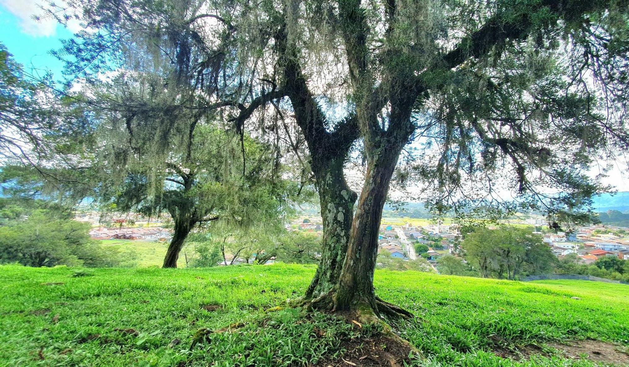 Cabana Canto Lindo - Urubici-Sc Zewnętrze zdjęcie
